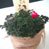 「もう疲れた…」マッチングアプリの無限ループから抜け出し、30代で幸せな成婚を掴む方法