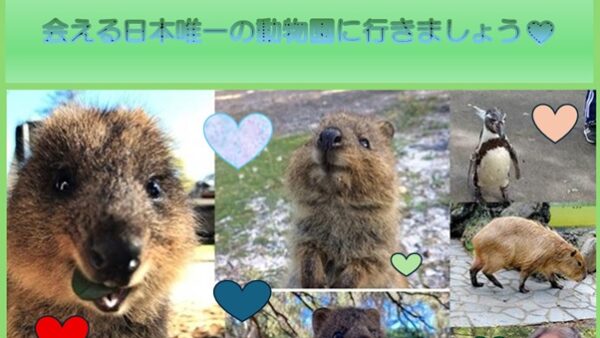 大人の遠足　参加者募集!!世界でいちばんしあわせな動物「クオッカ」に日本唯一会える　埼玉県こども動物自然公園